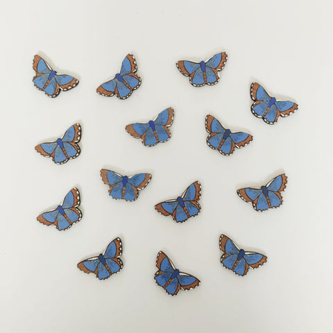 Common Blue Butterfly earrings