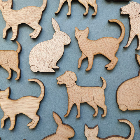 Paint your Own Brooch Kit - Pets