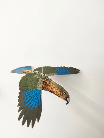 Kea 3D decoration Greeting card