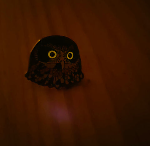 Rūrū Morepork Enamel Pin