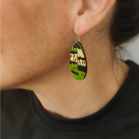 Kākāpō feather Rimu earrings