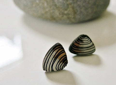 Pipi Shell Rimu earrings